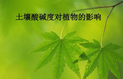 掌握土壤酸堿度，為植物生長保駕護(hù)航